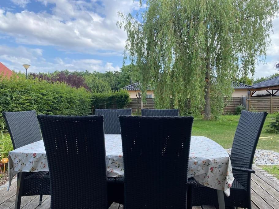 Ferienhaus - Ganzes Haus Fuer Euch Allein Grossenhain Buitenkant foto