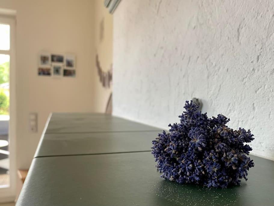 Ferienhaus - Ganzes Haus Fuer Euch Allein Grossenhain Buitenkant foto